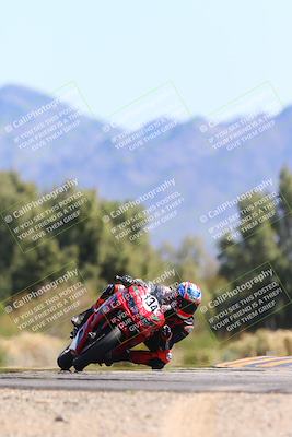 media/Mar-17-2024-CVMA (Sun) [[2dda336935]]/Race 7 Formula Lightweight Twins Shootout/
